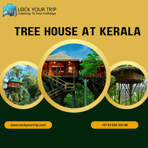 tree house at kerala