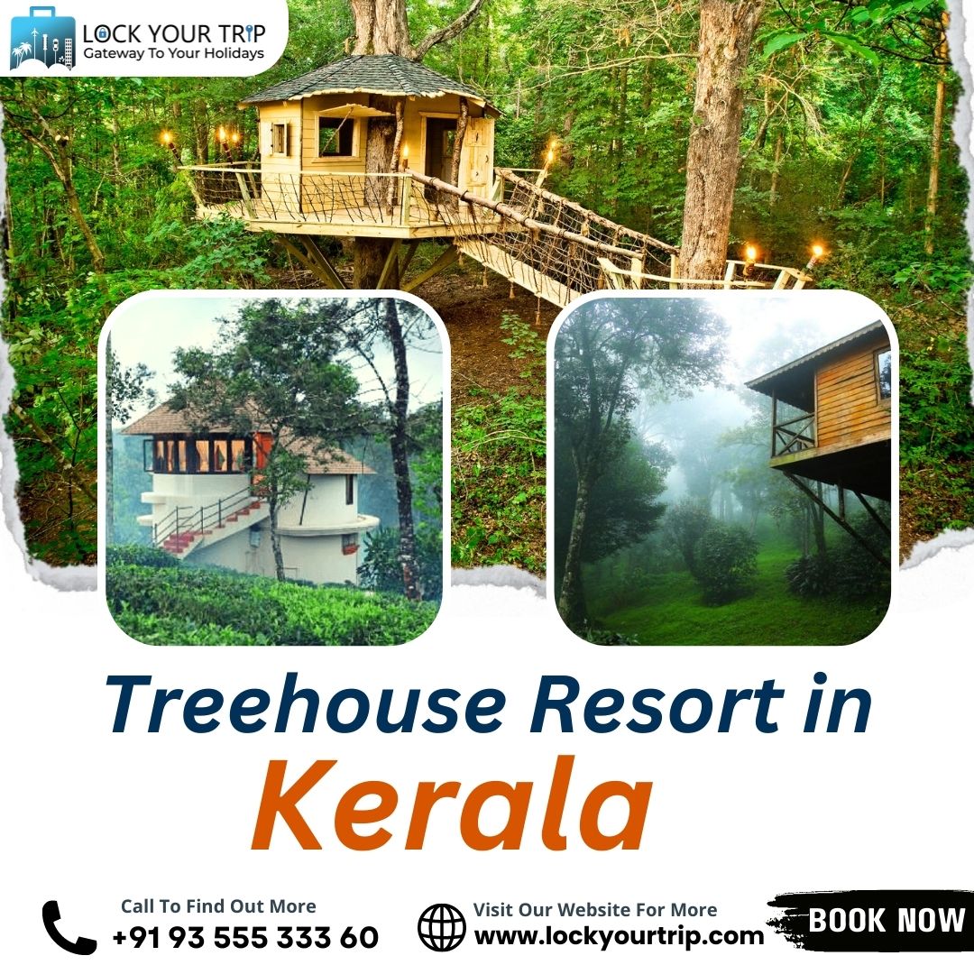 Tree House Resort in Kerala