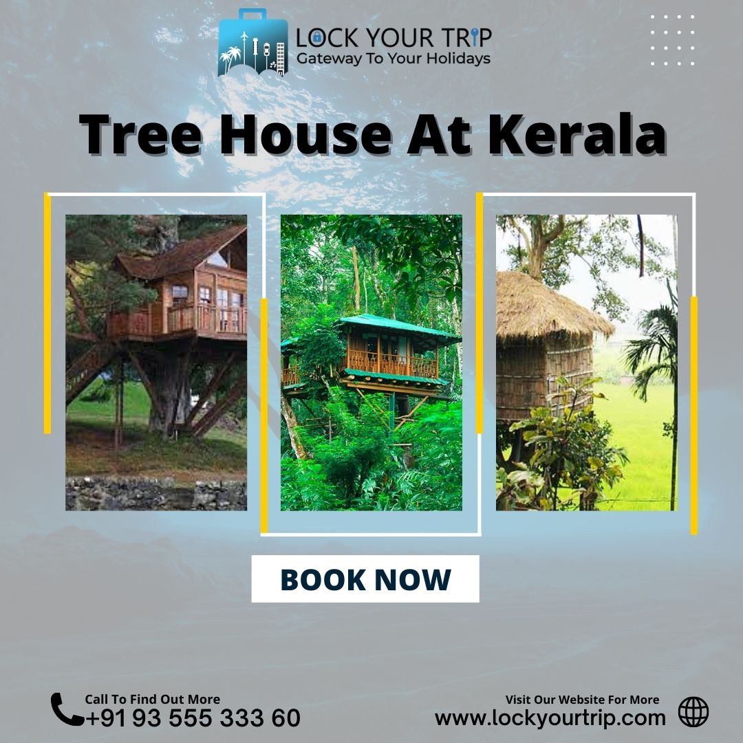 Tree House at Kerala