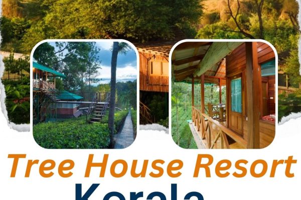tree house resort Kerala
