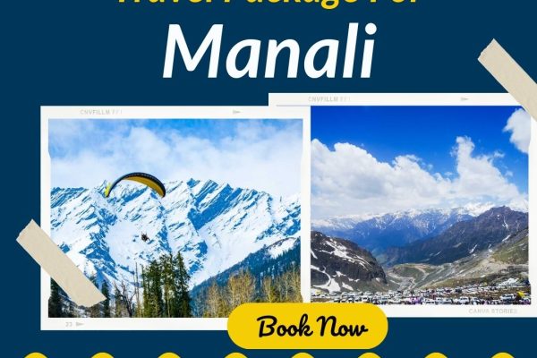 travel package for manali