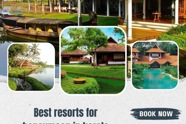 best resorts for honeymoon in Kerala
