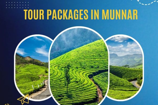 Munnar tour packages from Delhi