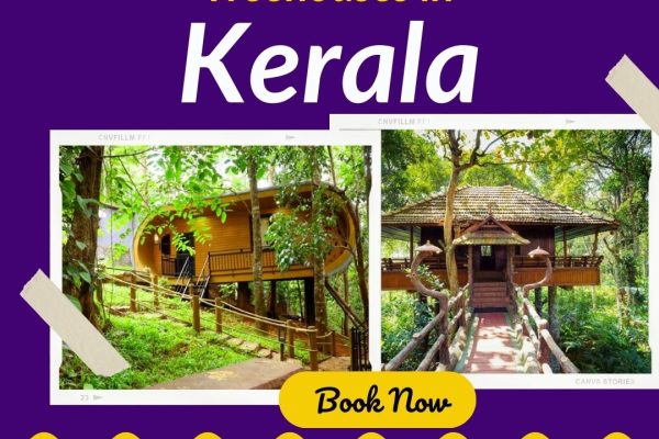 treehouses in Kerala