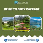 delhi to ooty package